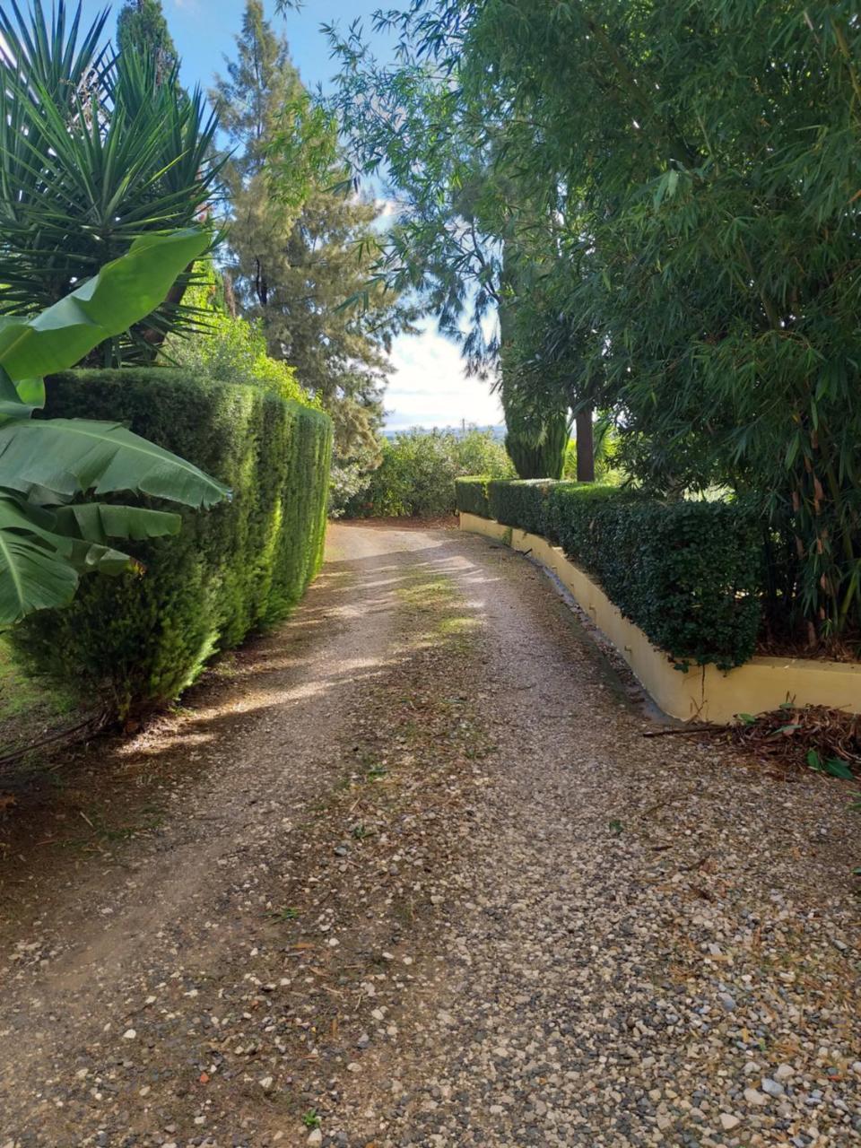 Гостьовий будинок Quinta Da Moura Casa-De-Campo Тавіра Екстер'єр фото