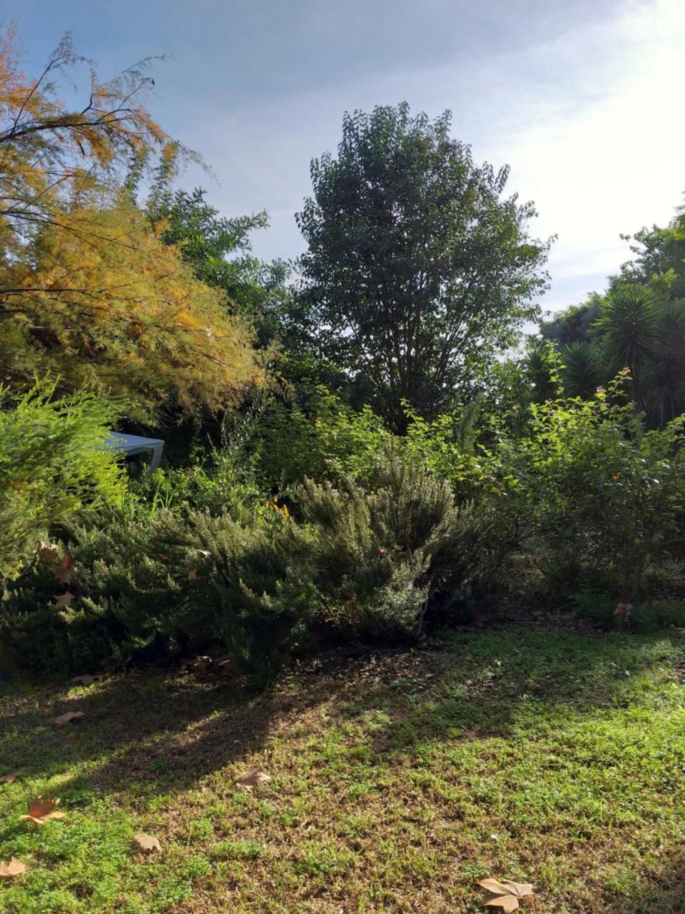 Гостьовий будинок Quinta Da Moura Casa-De-Campo Тавіра Екстер'єр фото
